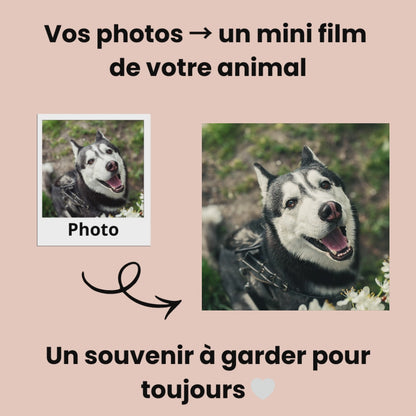 Mini-Film Souvenir — Compagnon de Vie — Jusqu’à 35 Photos